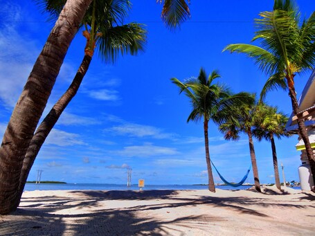 Ibis Bay Beach Resort - Image 4