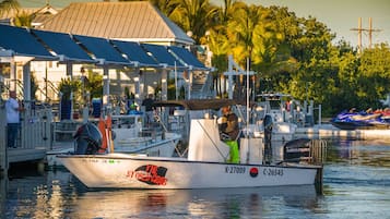 Un barco amarrado en un puerto deportivo, con una zona cubierta y palmeras al fondo.