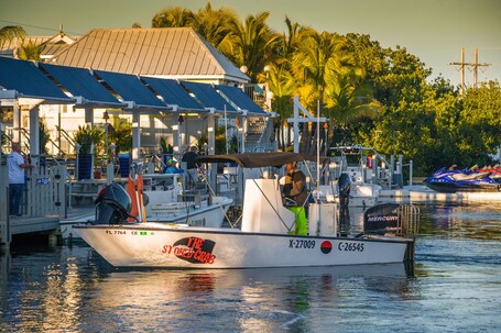 Ibis Bay Beach Resort - Image 51