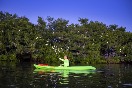 Ibis Bay Beach Resort - Image 76