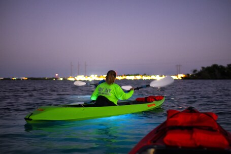 Ibis Bay Beach Resort - Image 54
