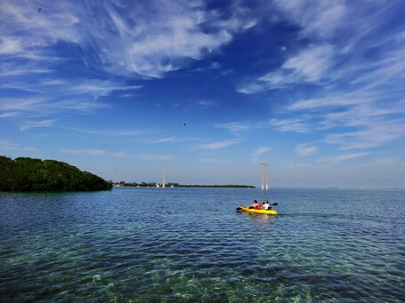Ibis Bay Beach Resort - Image 49
