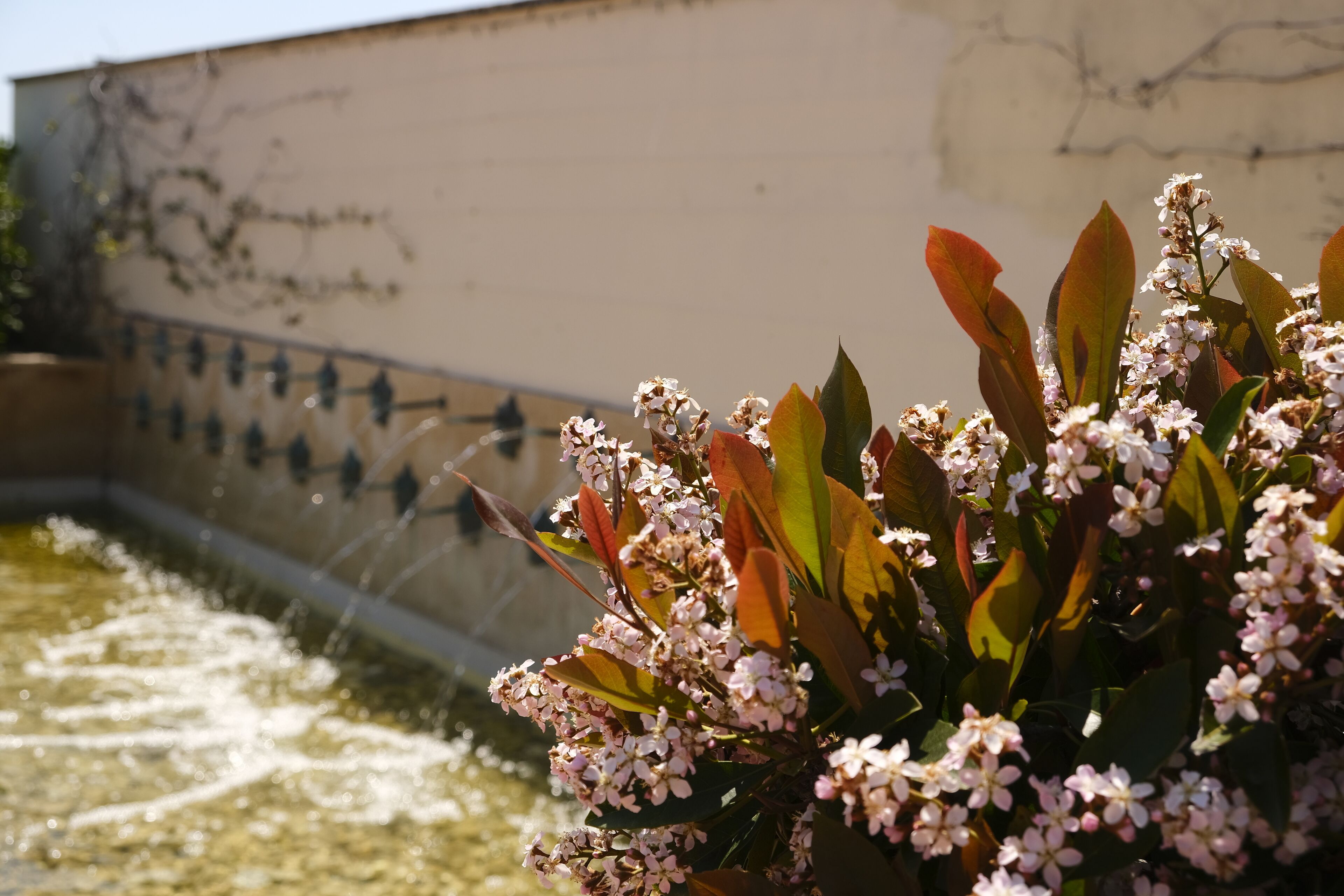 Una fuente de agua con un muro al fondo.