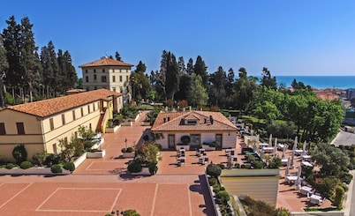 L'Antico Uliveto