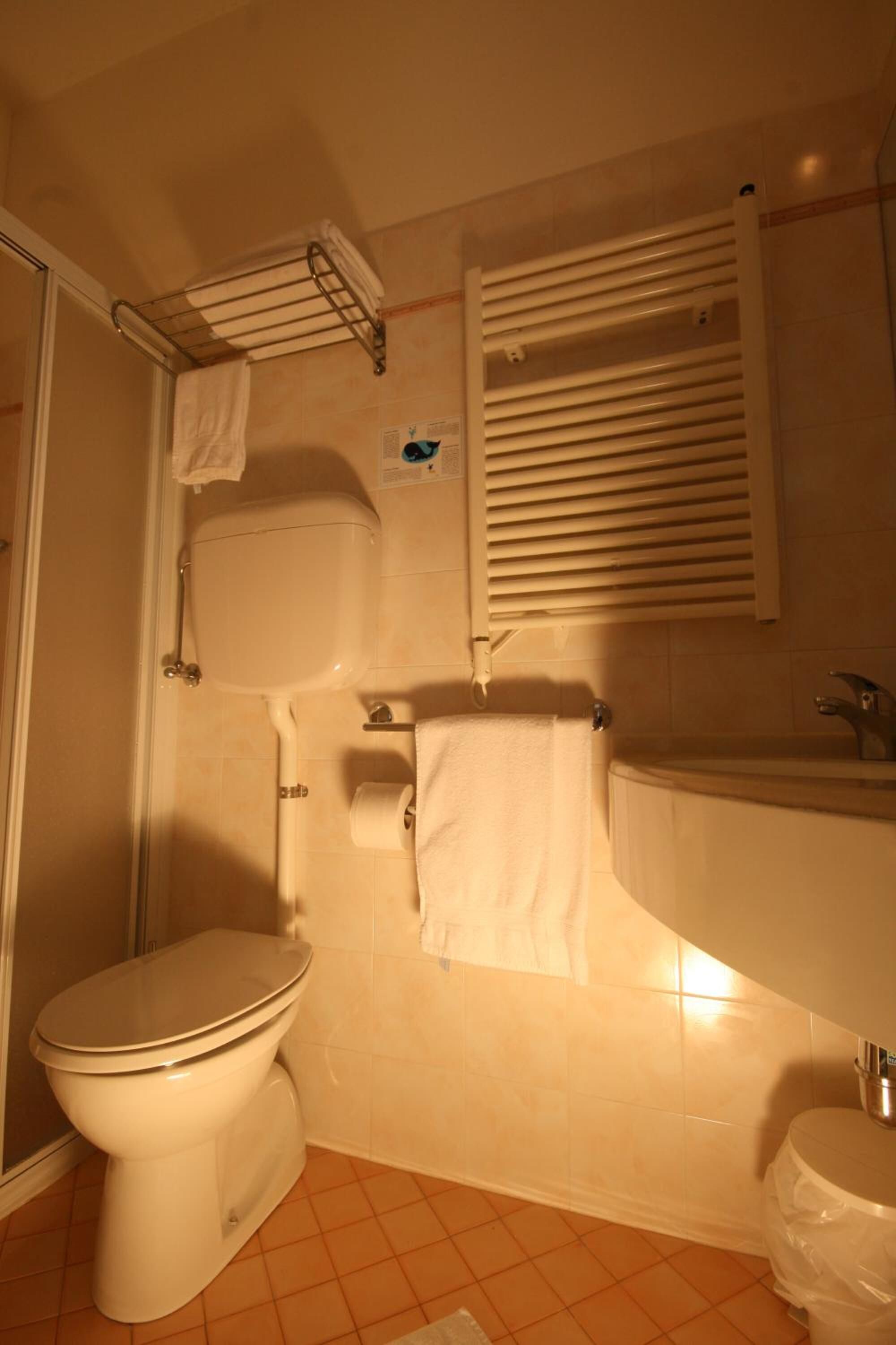 shower, free toiletries, hair dryer, bidet