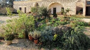 Um edifício de pedra com portas em arco e um jardim com plantas em vasos.