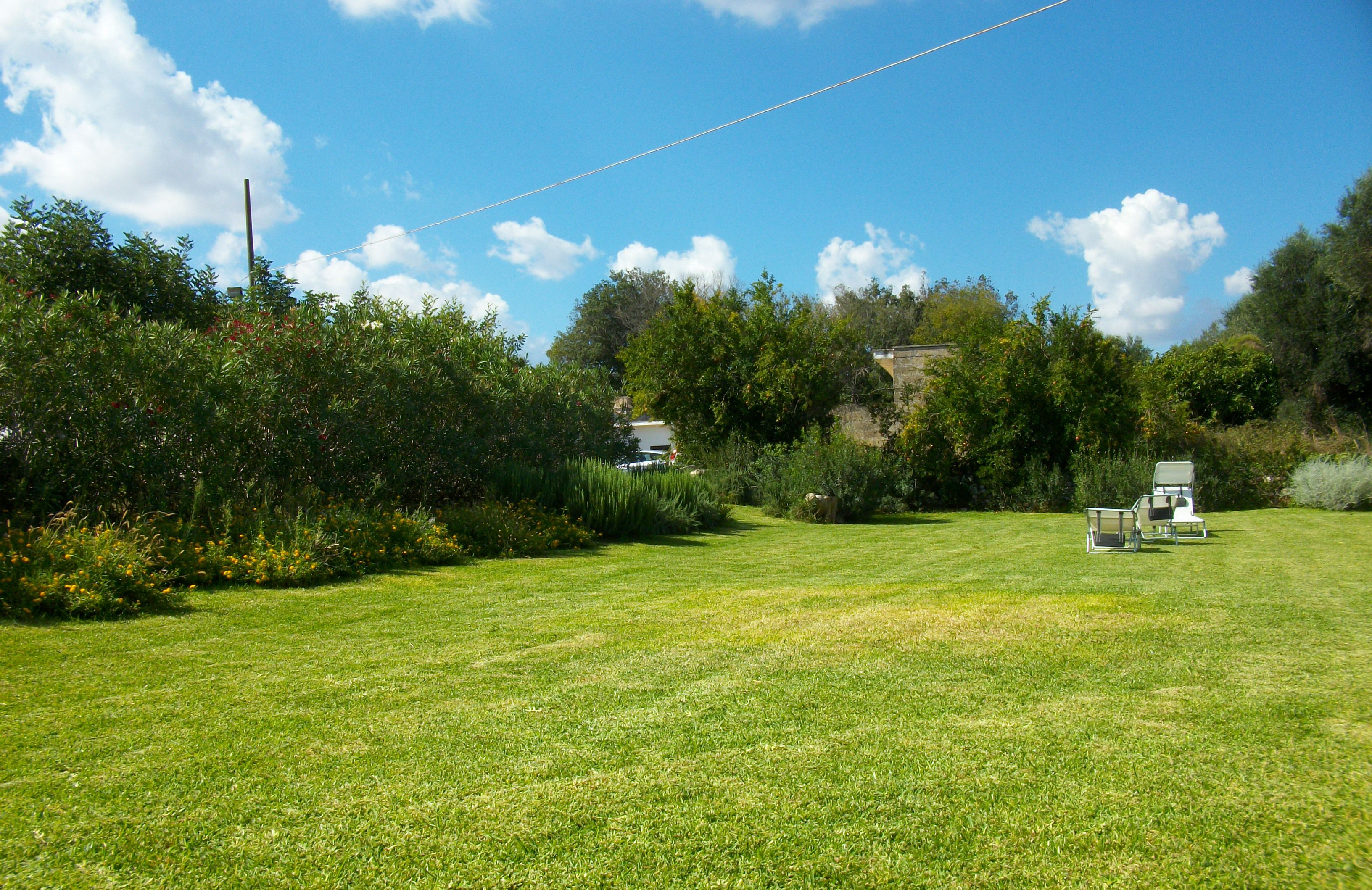 A grassy outdoor area with a clear sky, a few trees, and two white chairs.