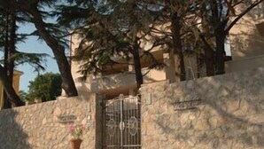 A stone wall with a metal gate and a potted plant.