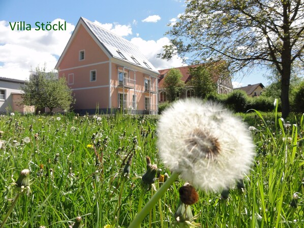 Garden - Familiengasthof Maier (Mautern in Steiermark)