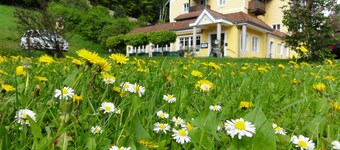 ฟามิเลียนกาสต์โฮฟ ไมเออร์