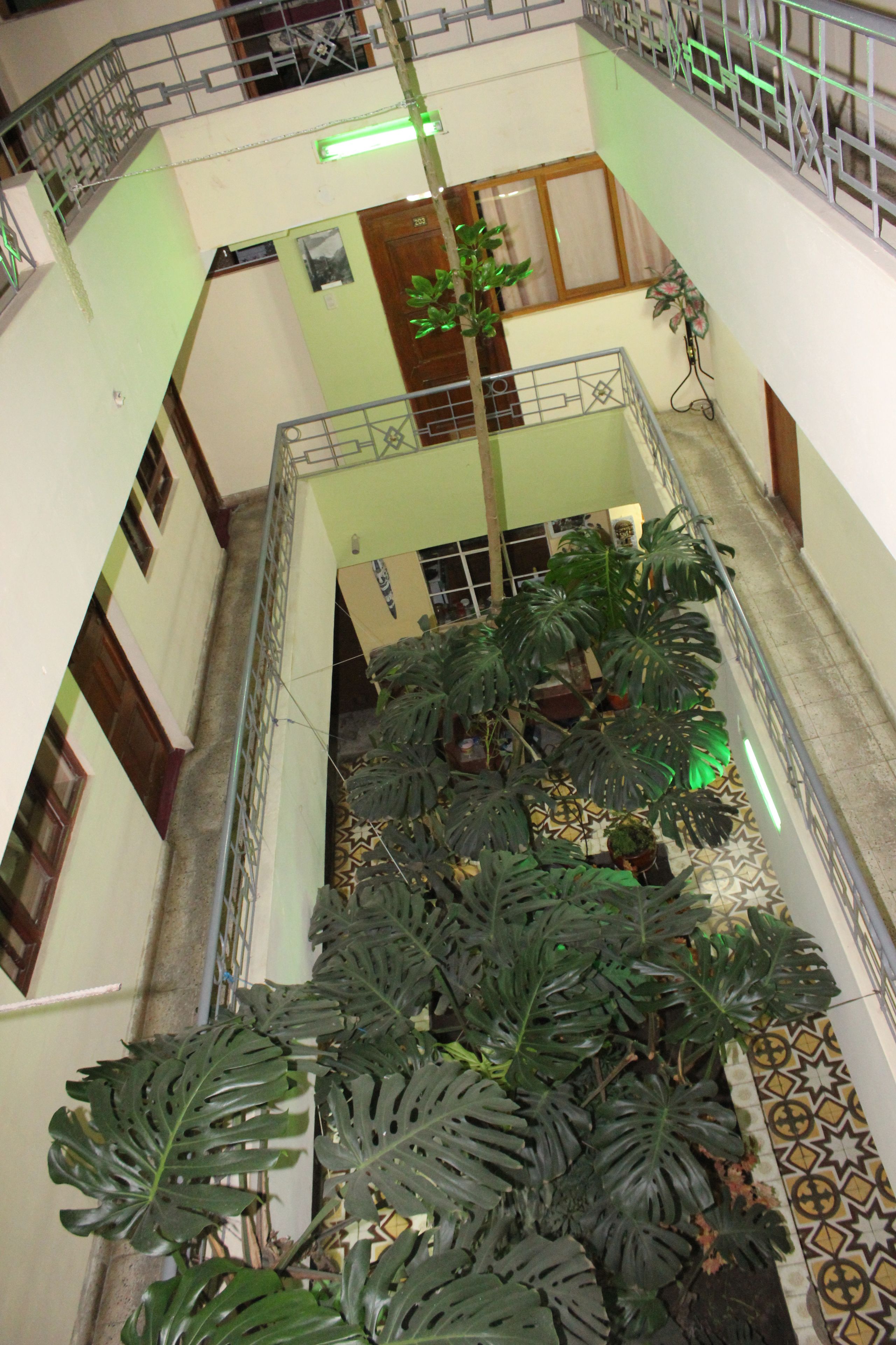 A multi-level atrium with a central staircase, surrounded by potted plants and a patterned floor.