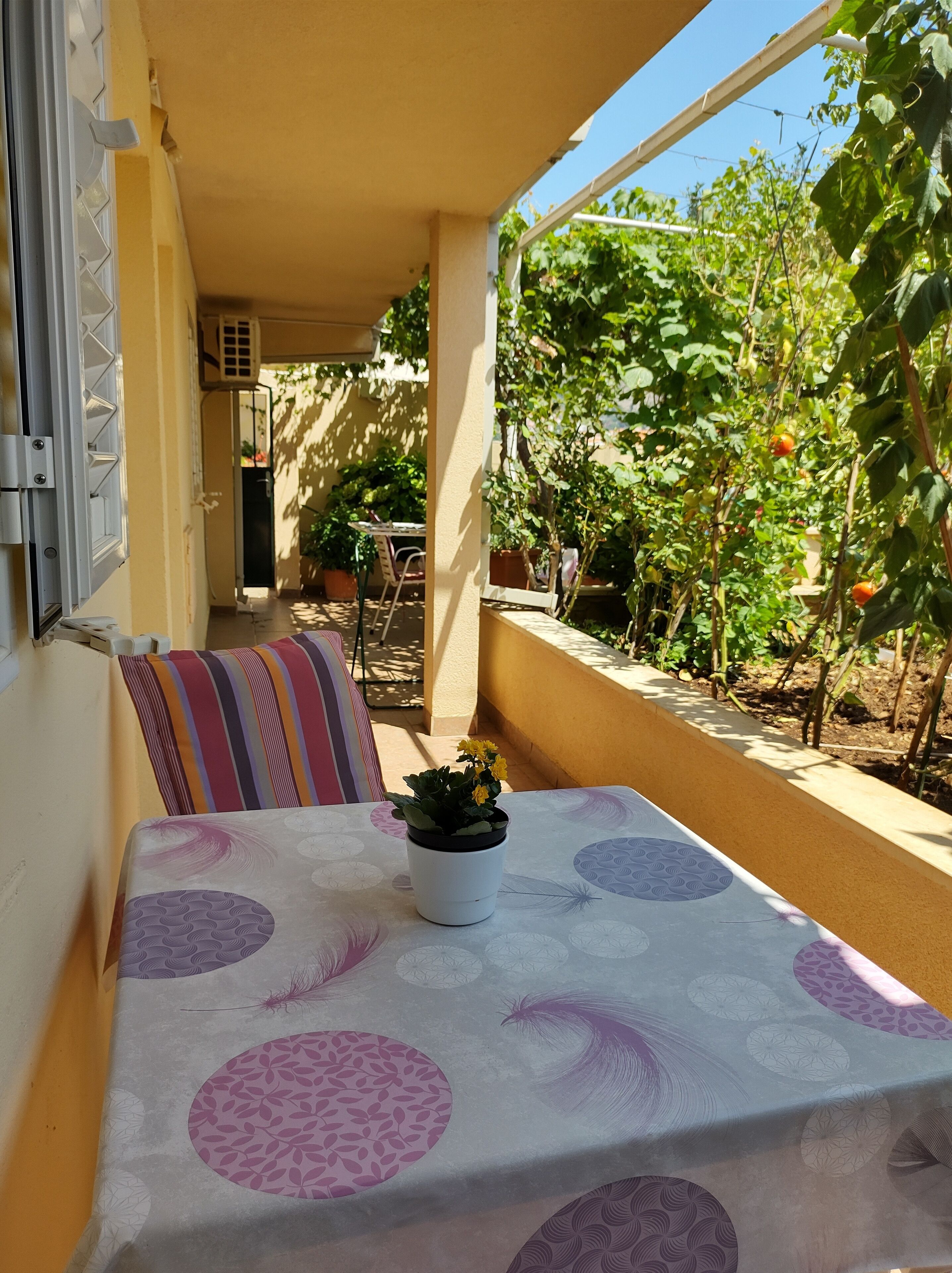 Foto - Guesthouse Anna