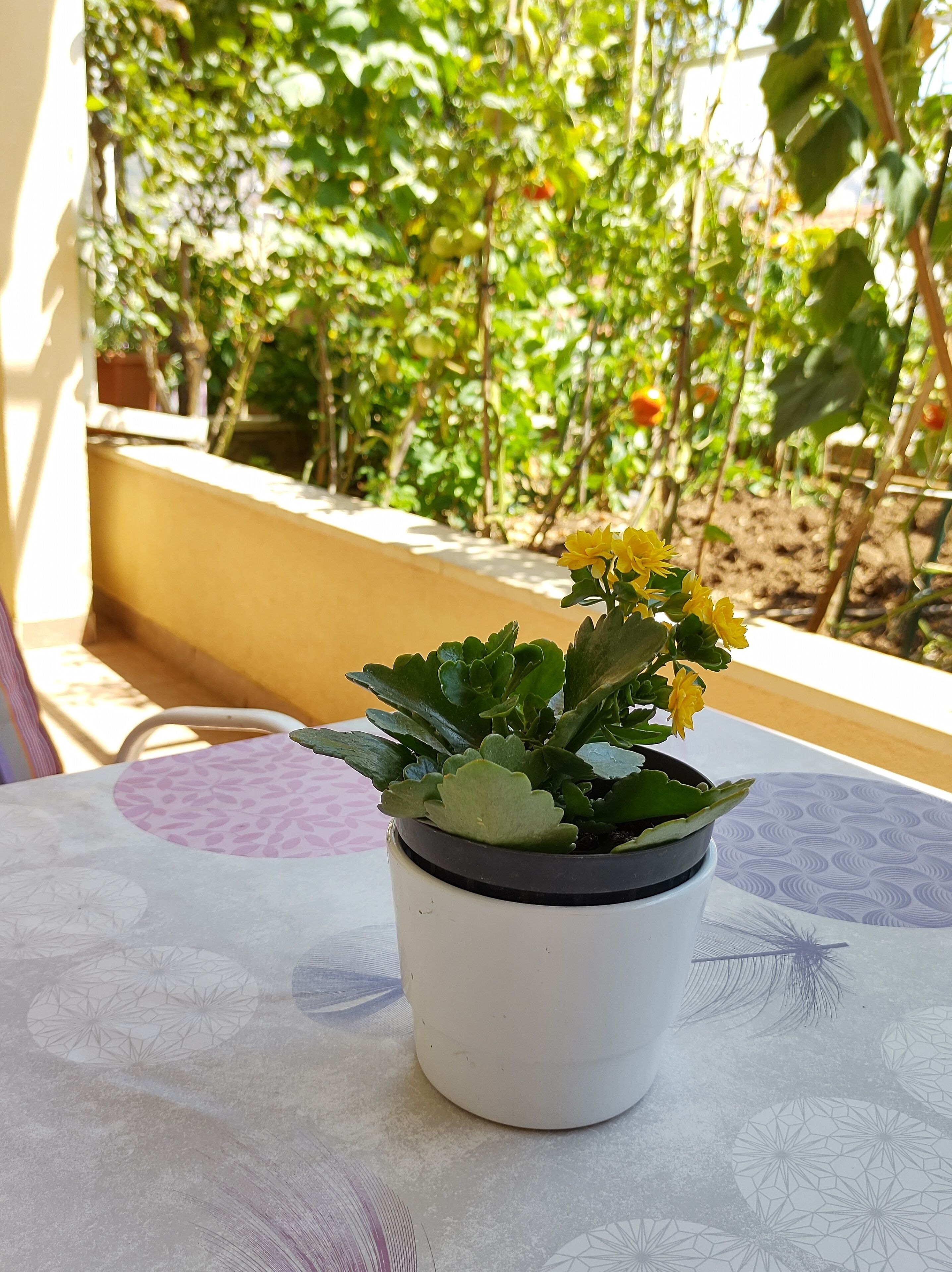 Foto - Guesthouse Anna