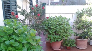 A variety of potted plants arranged on a tiled patio. - Anna Guesthouse (Dubrovnik)