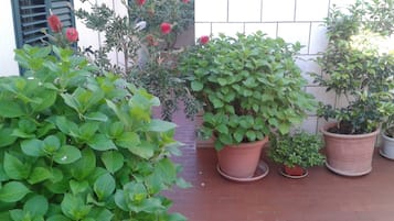 ํ
๋ผ์ค/ํํฐ์ค