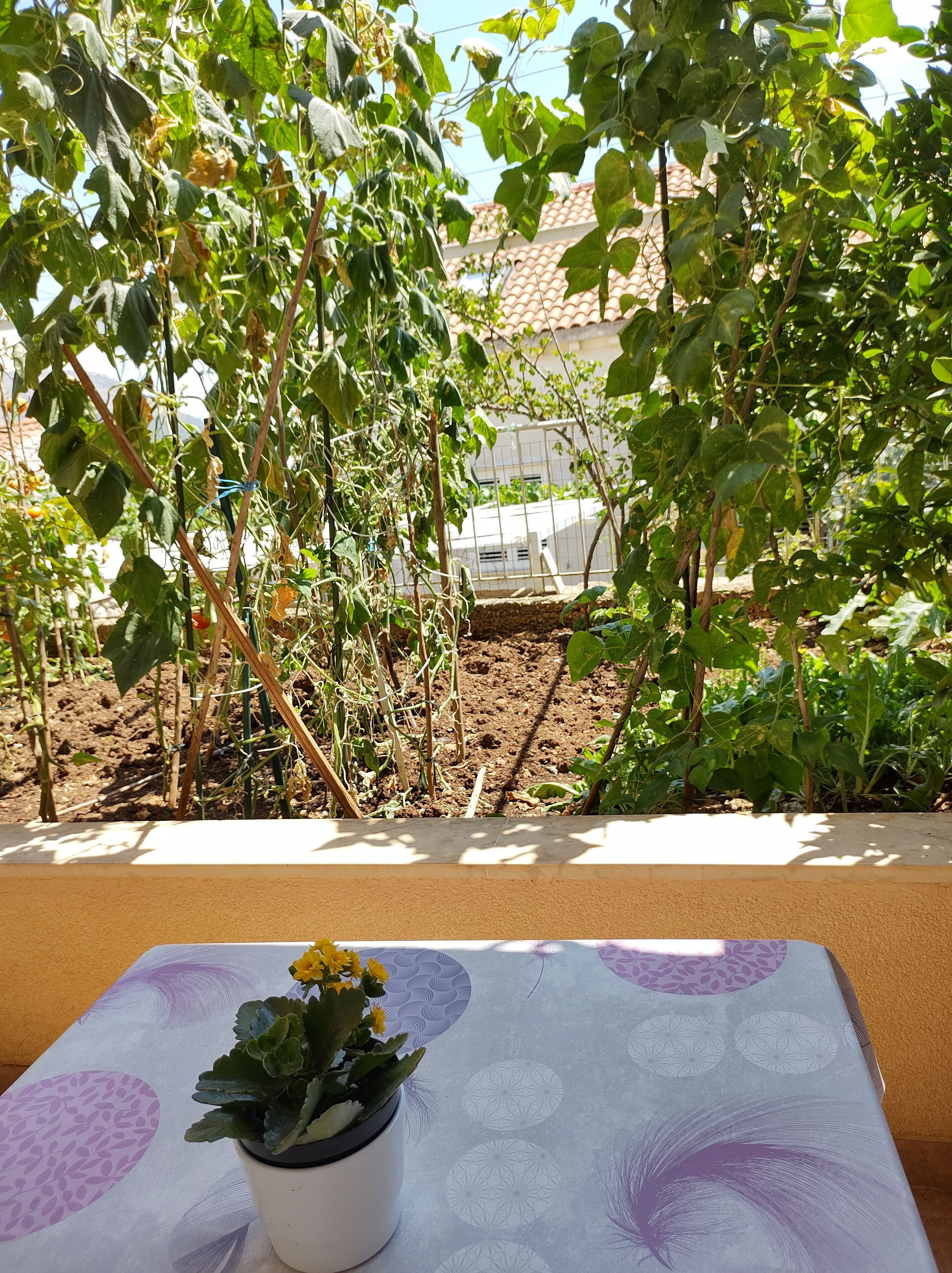 Foto - Guesthouse Anna