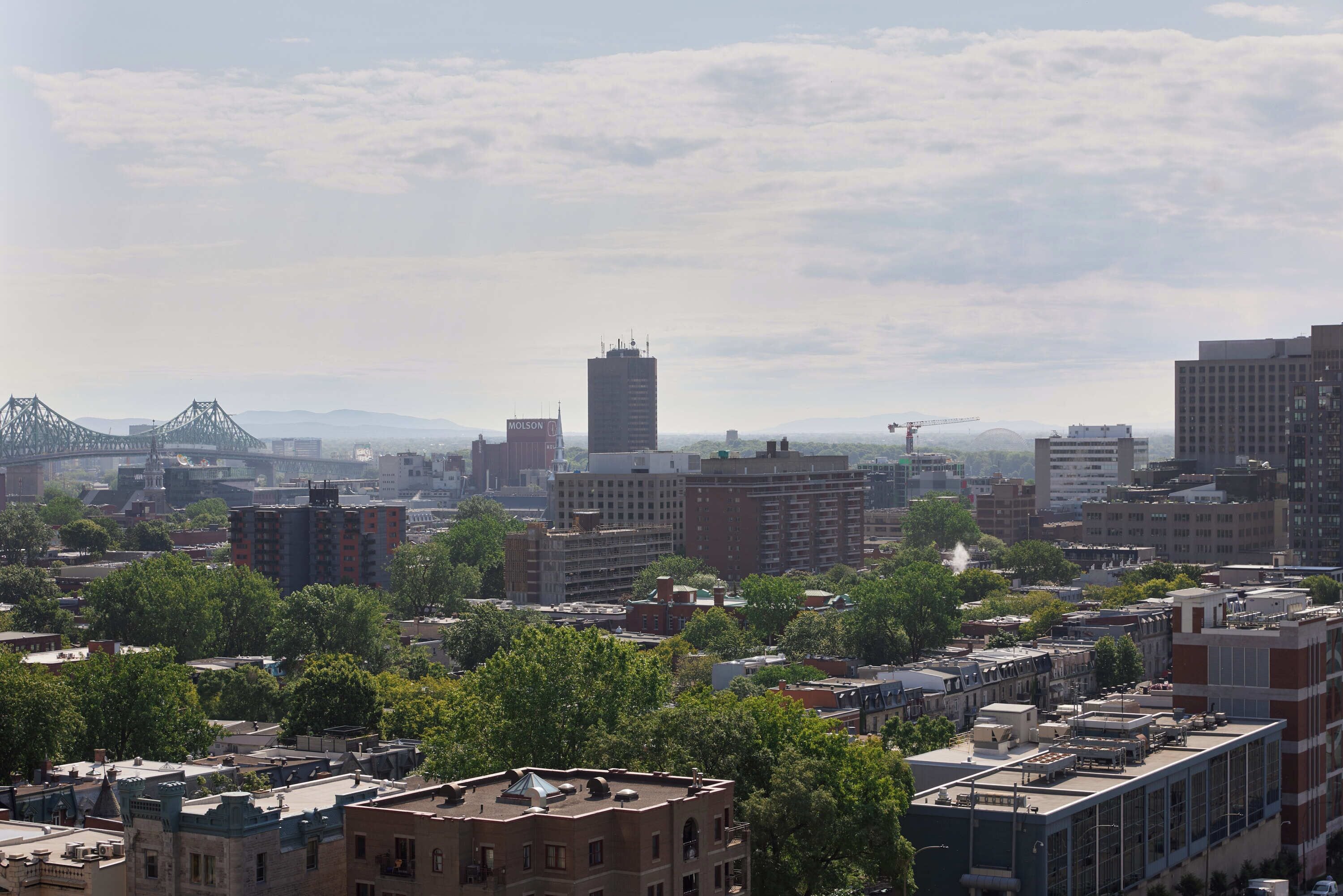 suite exécutive | city view