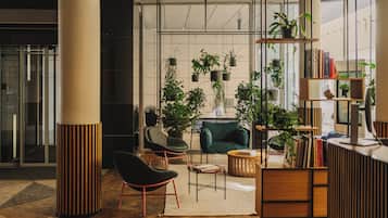 منطقة الاستقبال