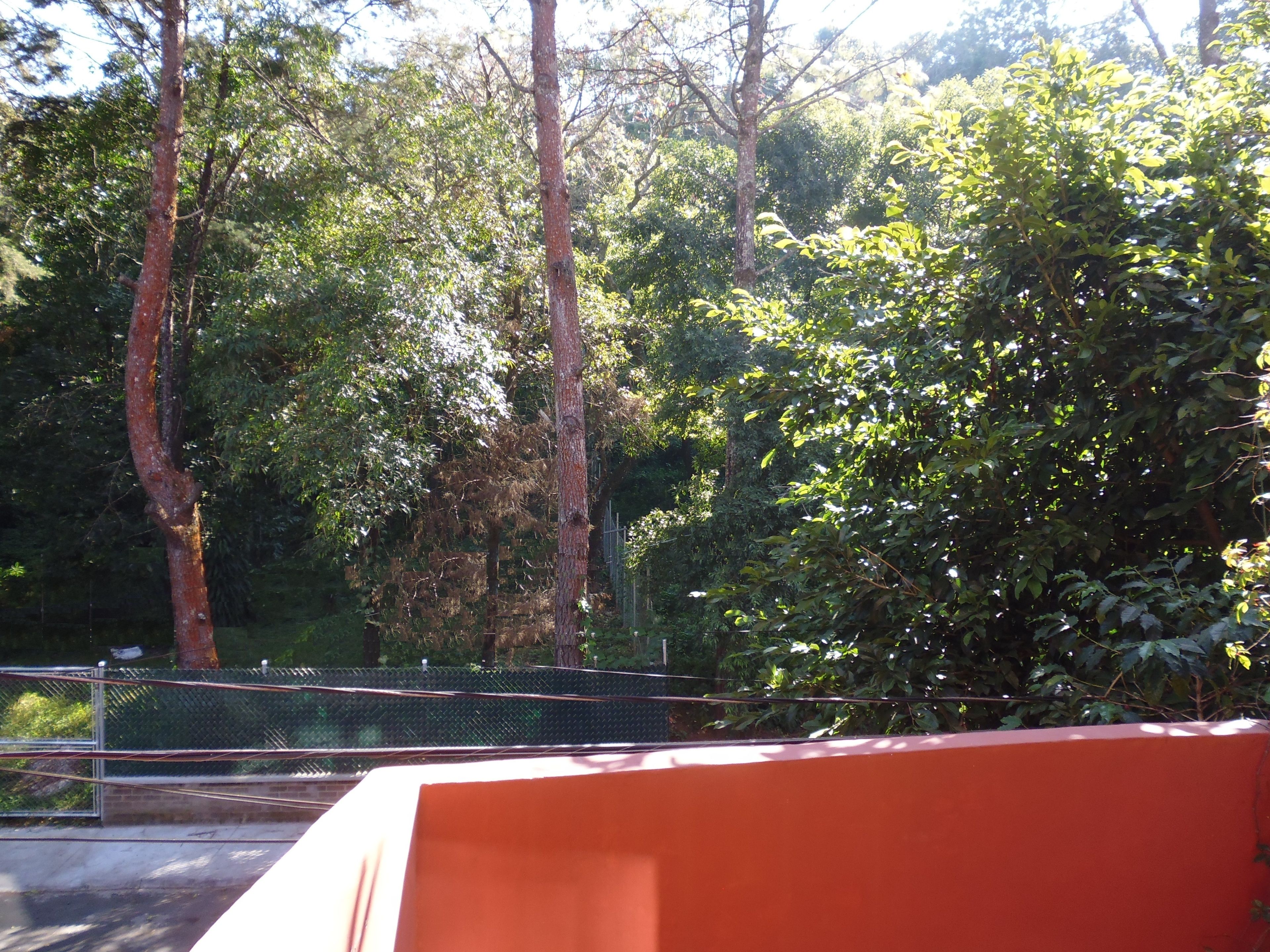 A fenced area with trees and a red structure.