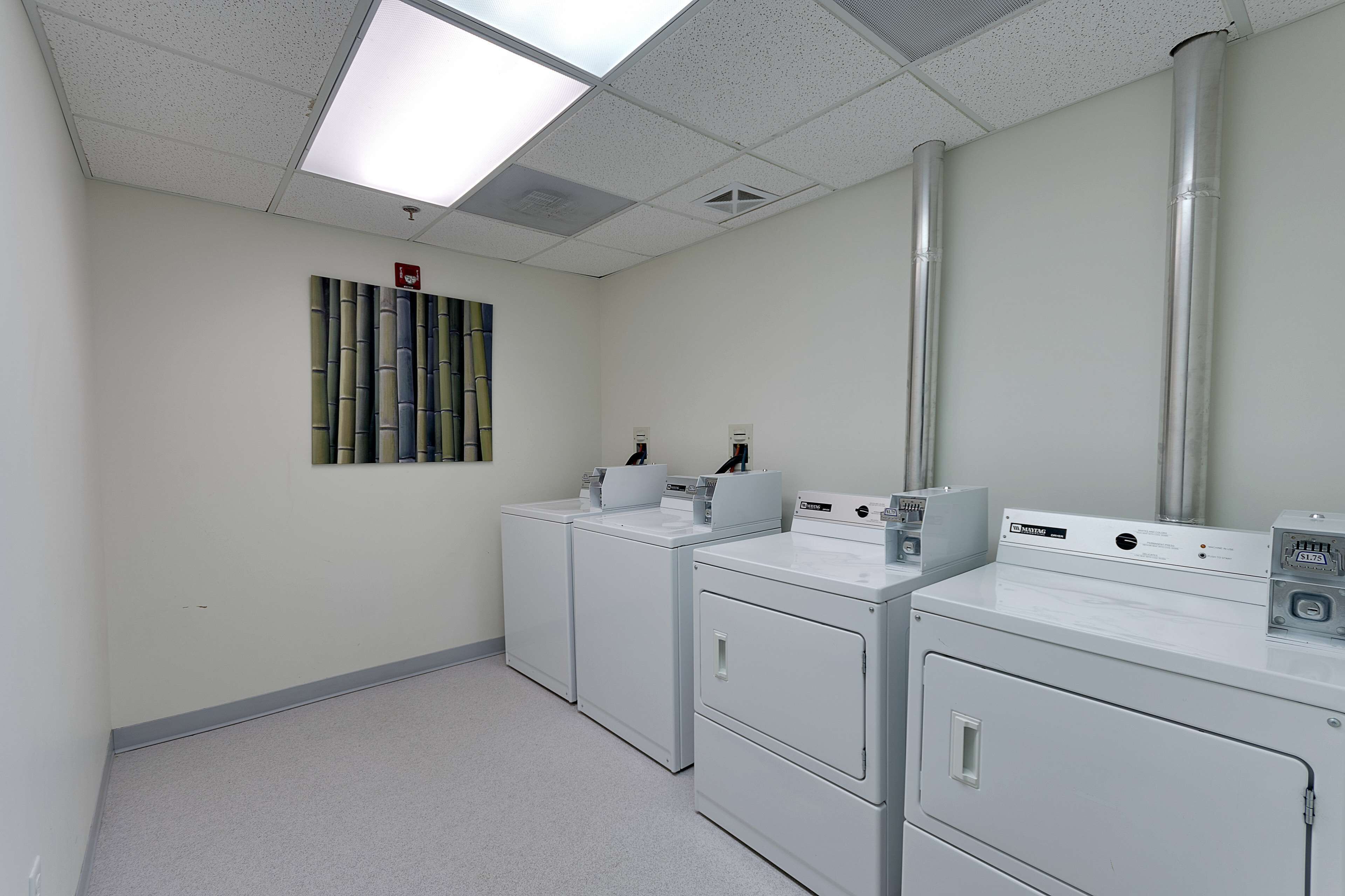 A laundry room with three white washers and dryers, a bamboo wall decoration, and a large mirror.