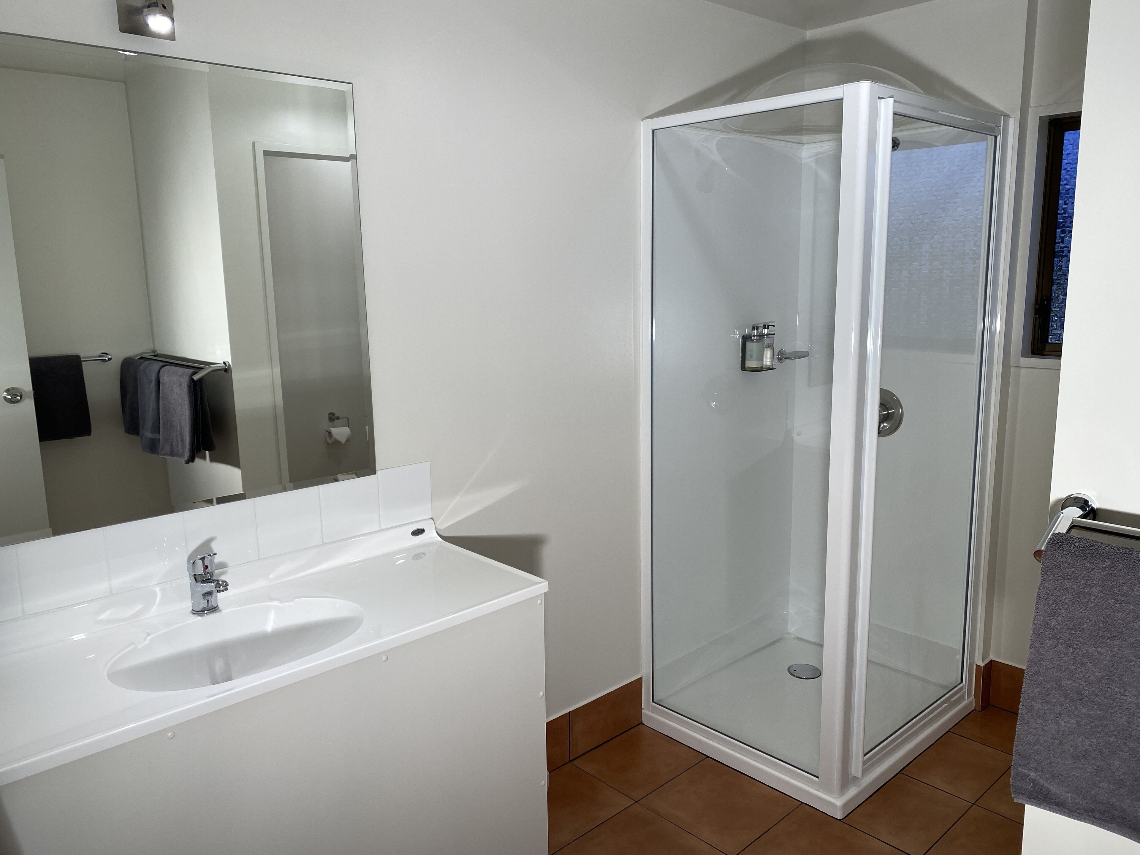 Une salle de bain avec un lavabo blanc, une douche en verre et un miroir.