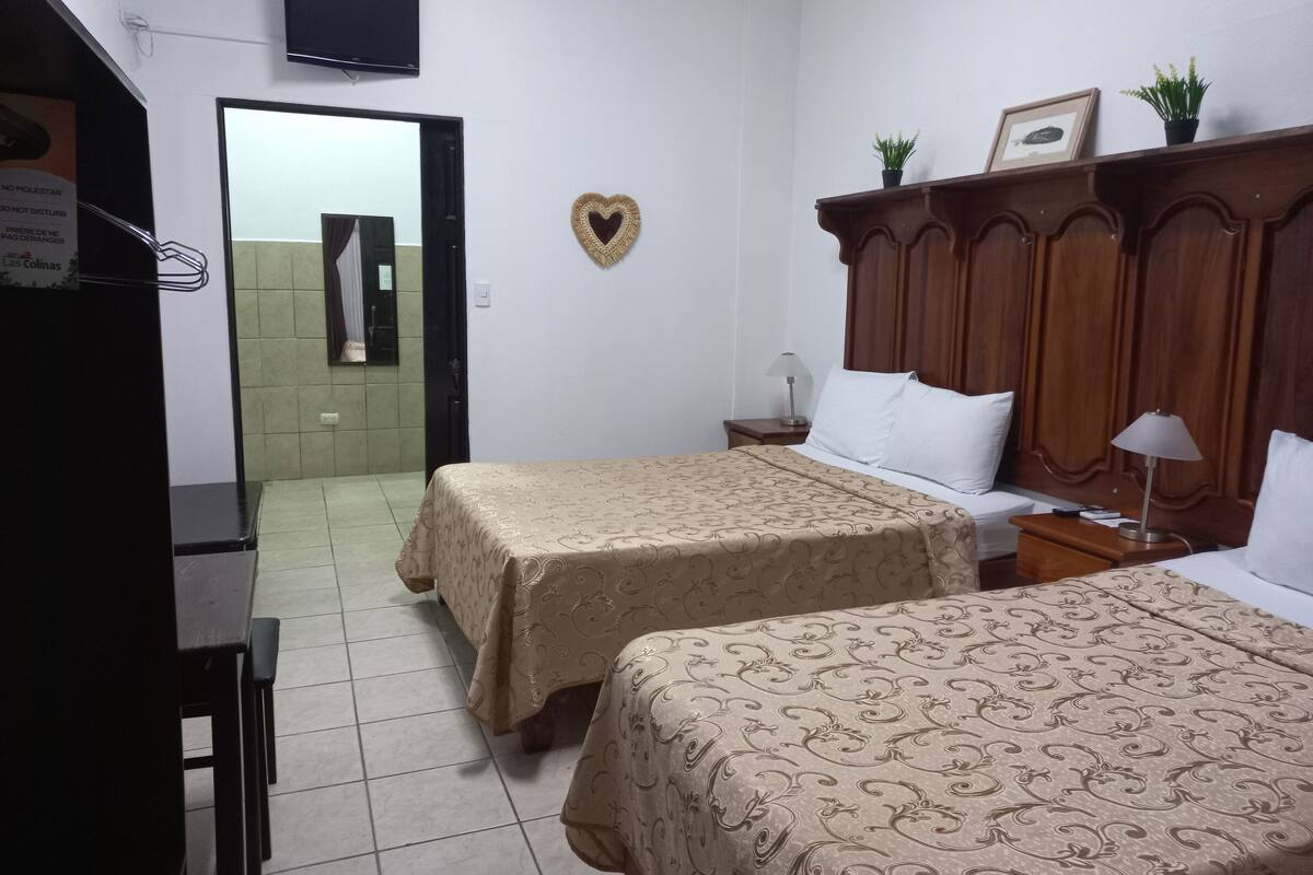 Habitación de hotel con dos camas, televisión montada en la pared, cabecero de madera, mesita de noche con lámpara y una planta en maceta.