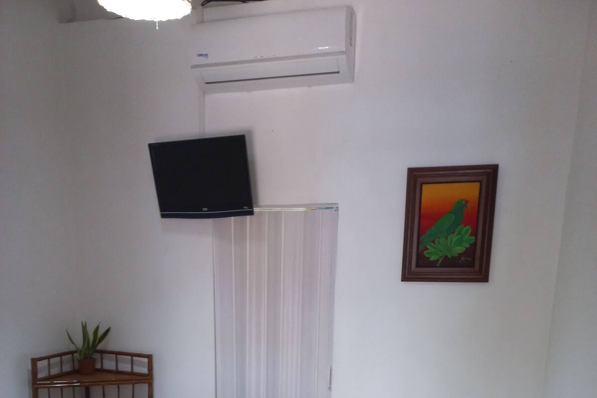 Habitación de hotel con dos camas, un televisor montado en la pared, un cuadro, una planta en un estante y un radiador.