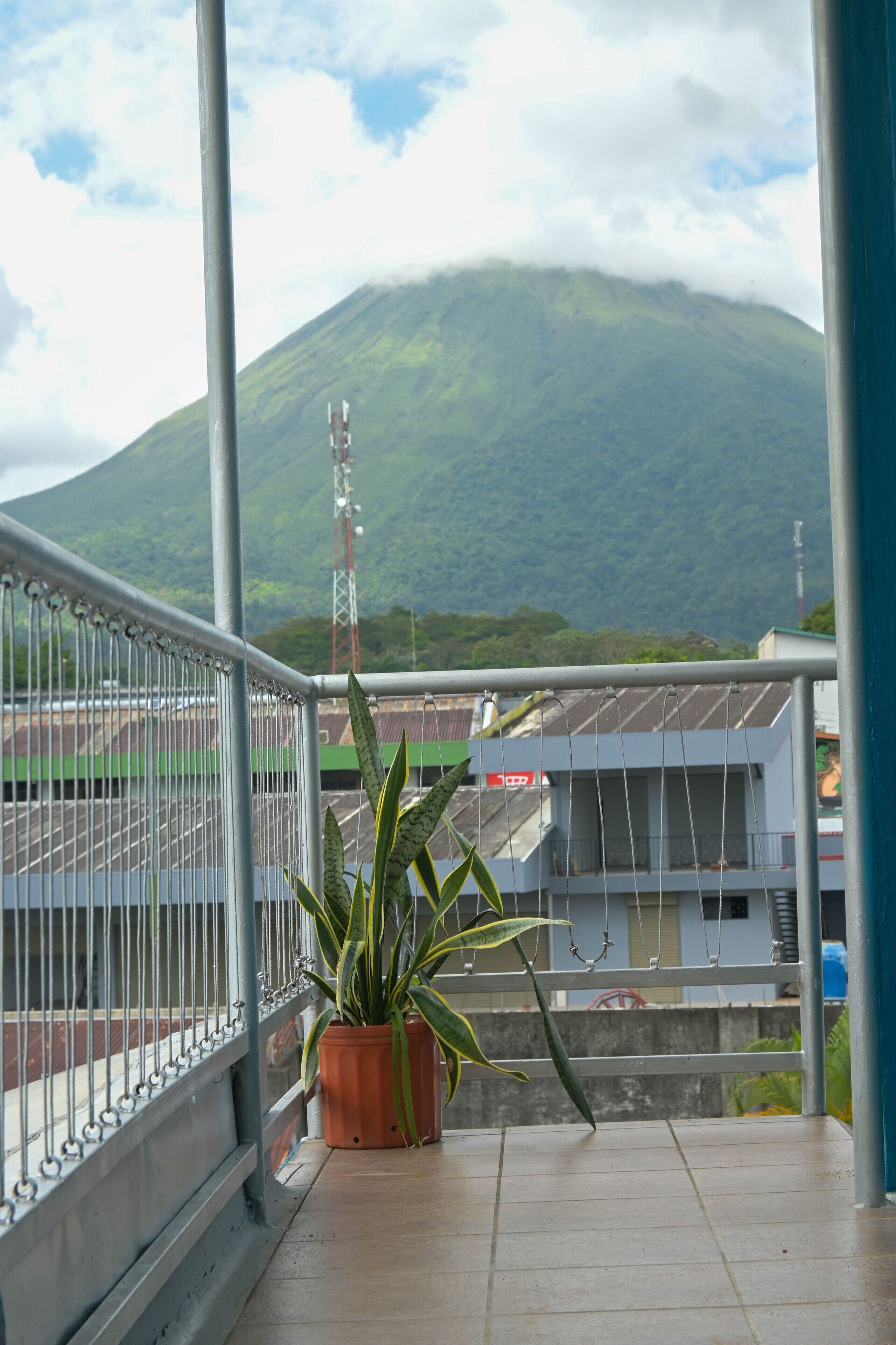 A balcony with a potted plant, a metal railing, and a view of a mountain and buildings in the background.