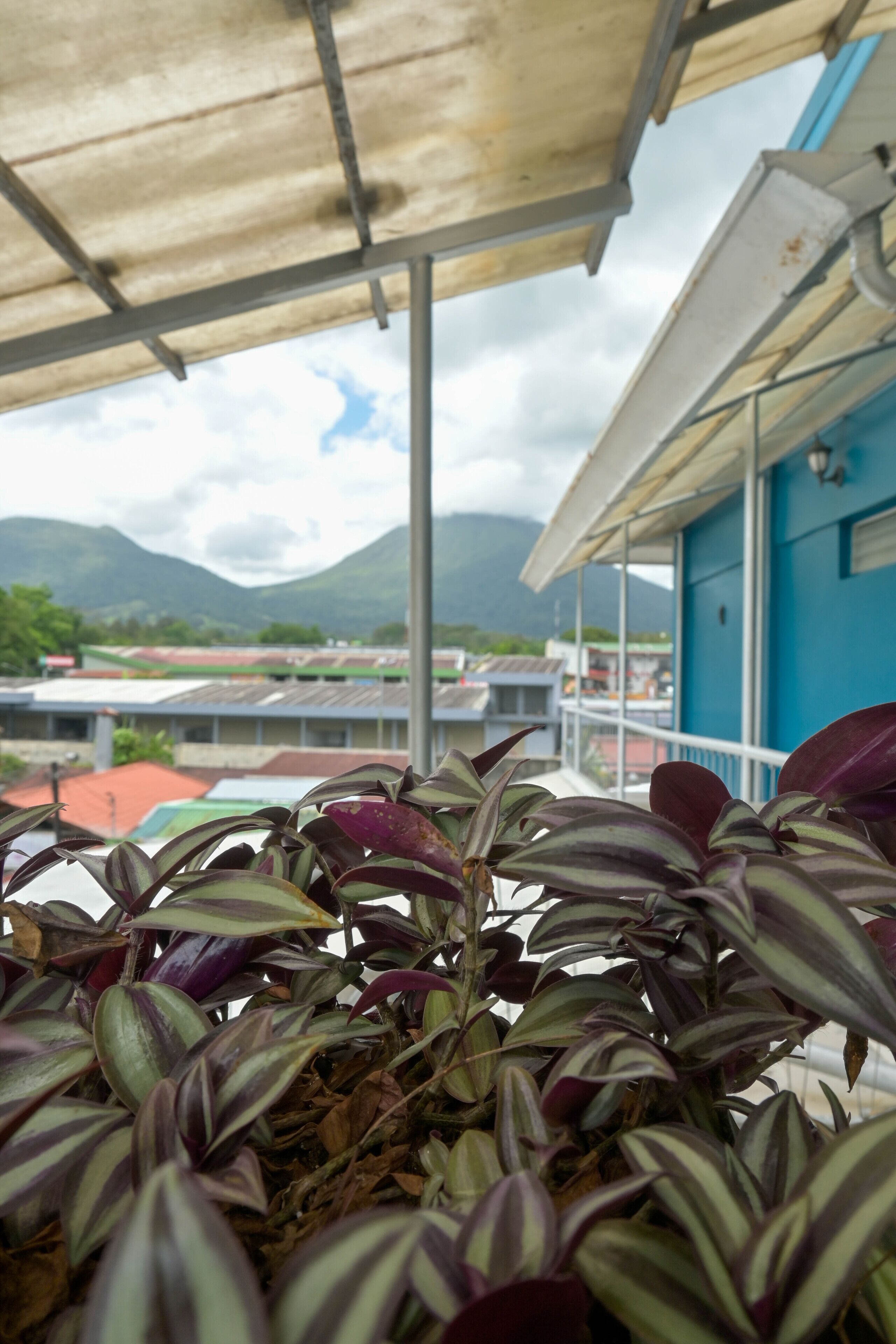 A balcony with potted plants, a blue building, and a mountainous landscape in the background.
