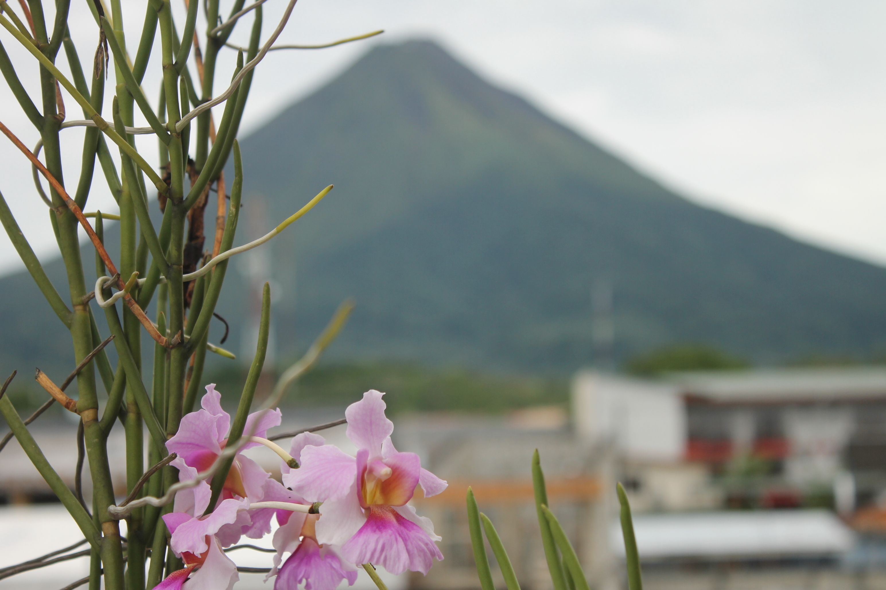 A view of a mountain with a building in the foreground.
