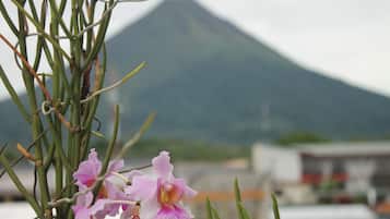 A view of a mountain with a building in the foreground.
