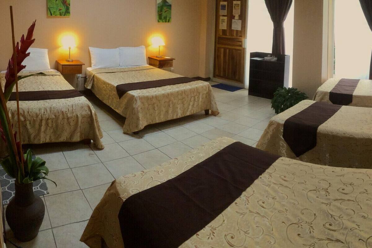 Habitación de hotel con dos camas, una mesita, una planta en maceta y una ventana con cortinas.