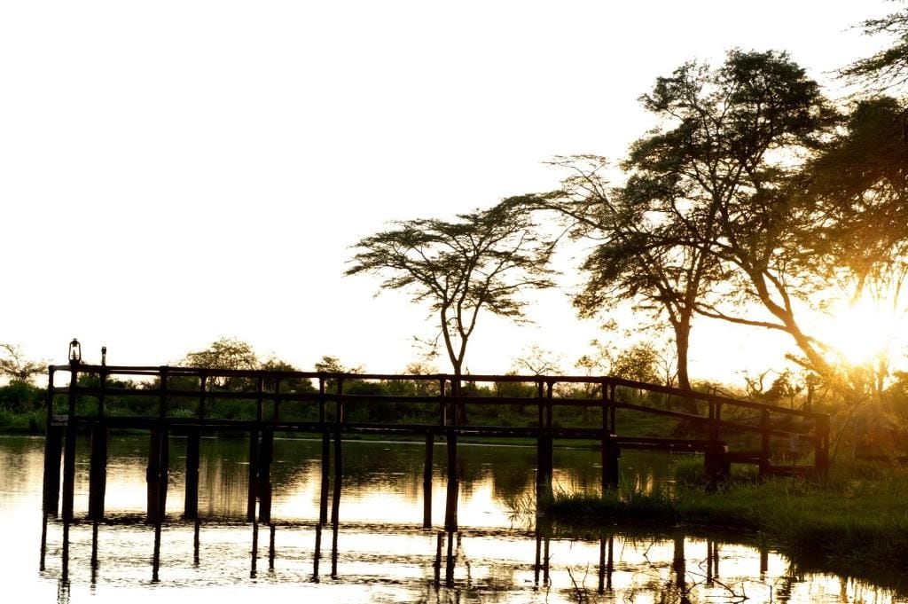 A wooden bridge over a calm body of water with trees on either side.