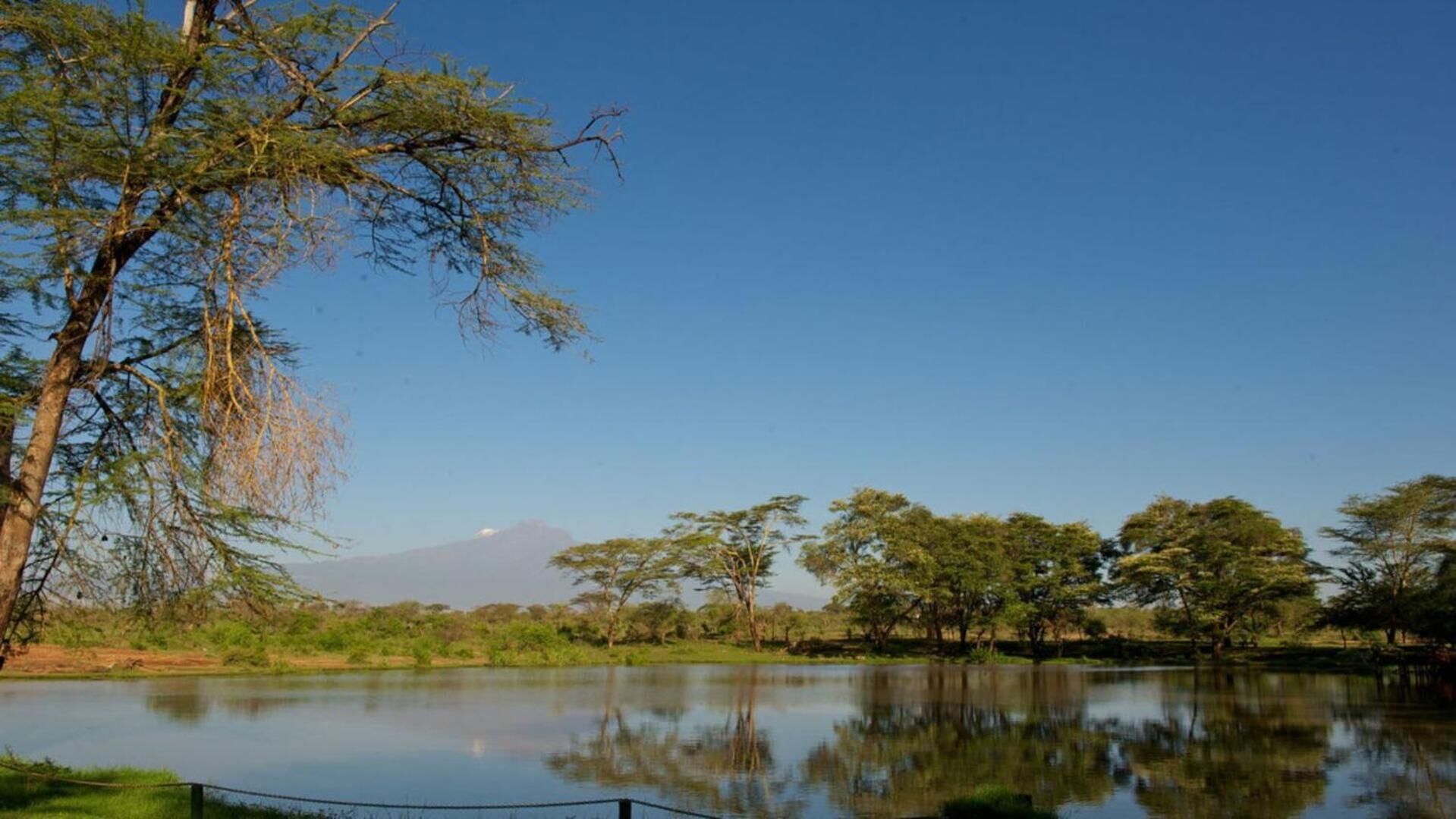 A calm lake with trees reflecting the sky, a mountain in the background, and a clear blue sky.