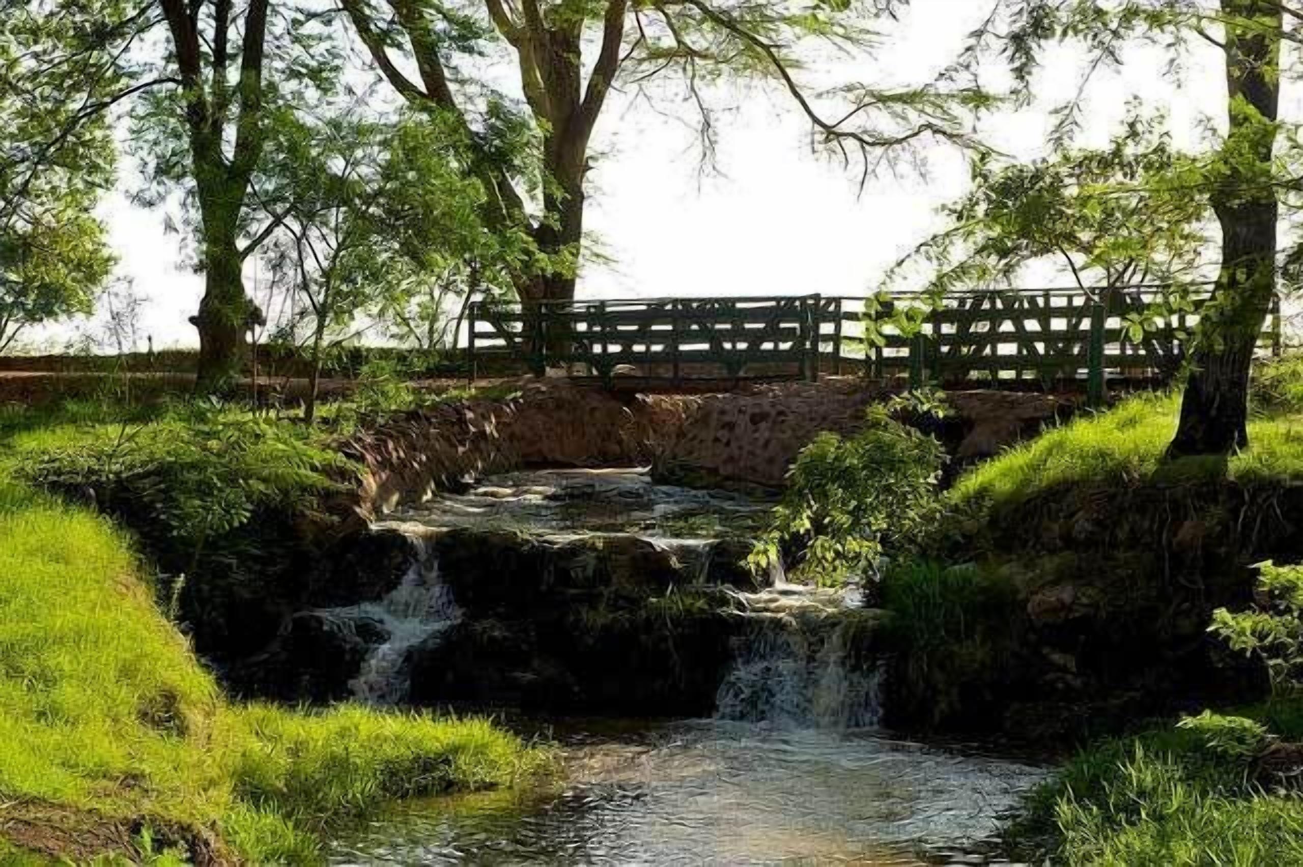 A small waterfall with a wooden bridge in a park setting.