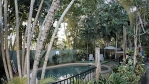 A pool surrounded by tall palm trees and lush greenery, with a fence and outdoor seating area. - The Beach Place (Yorkeys Knob)