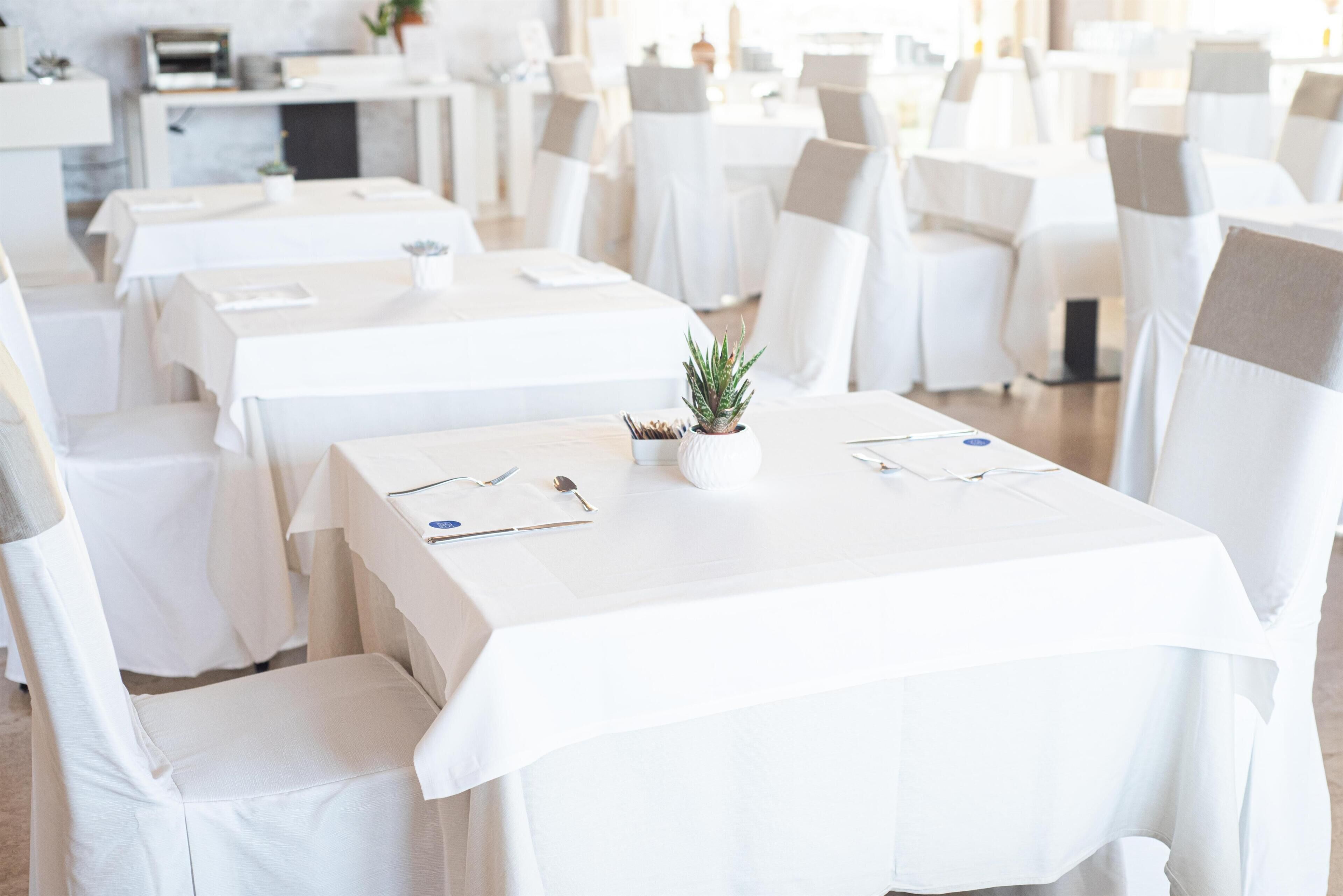 Ein Restaurant mit weißen Tischdecken und Stühlen, einer kleinen Topfpflanze auf jedem Tisch und einem klaren, modernen Interieur.