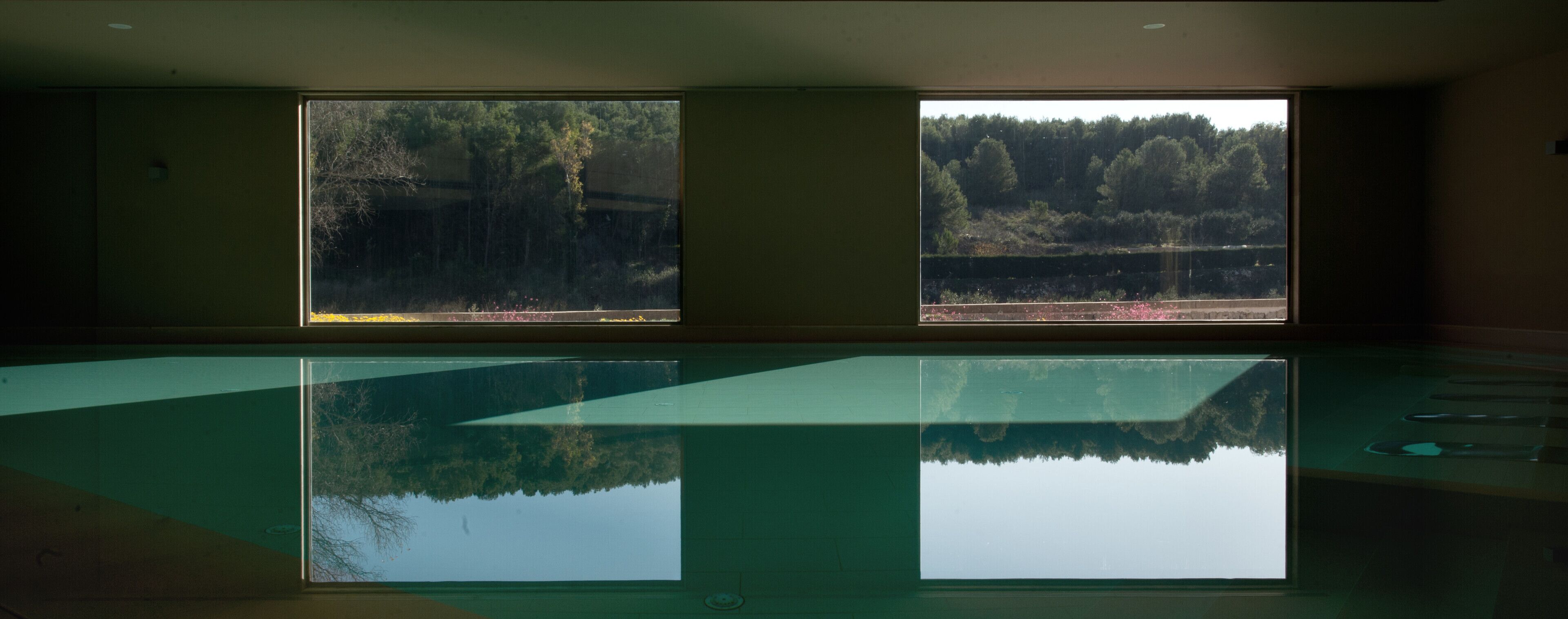 Una stanza con una grande piscina vuota e due finestre che si affacciano su una zona boschiva.