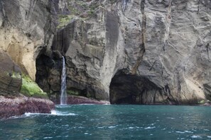 A natural rock formation with a waterfall and clear water. - Inatel Flores Hotel (Santa Cruz das Flores)