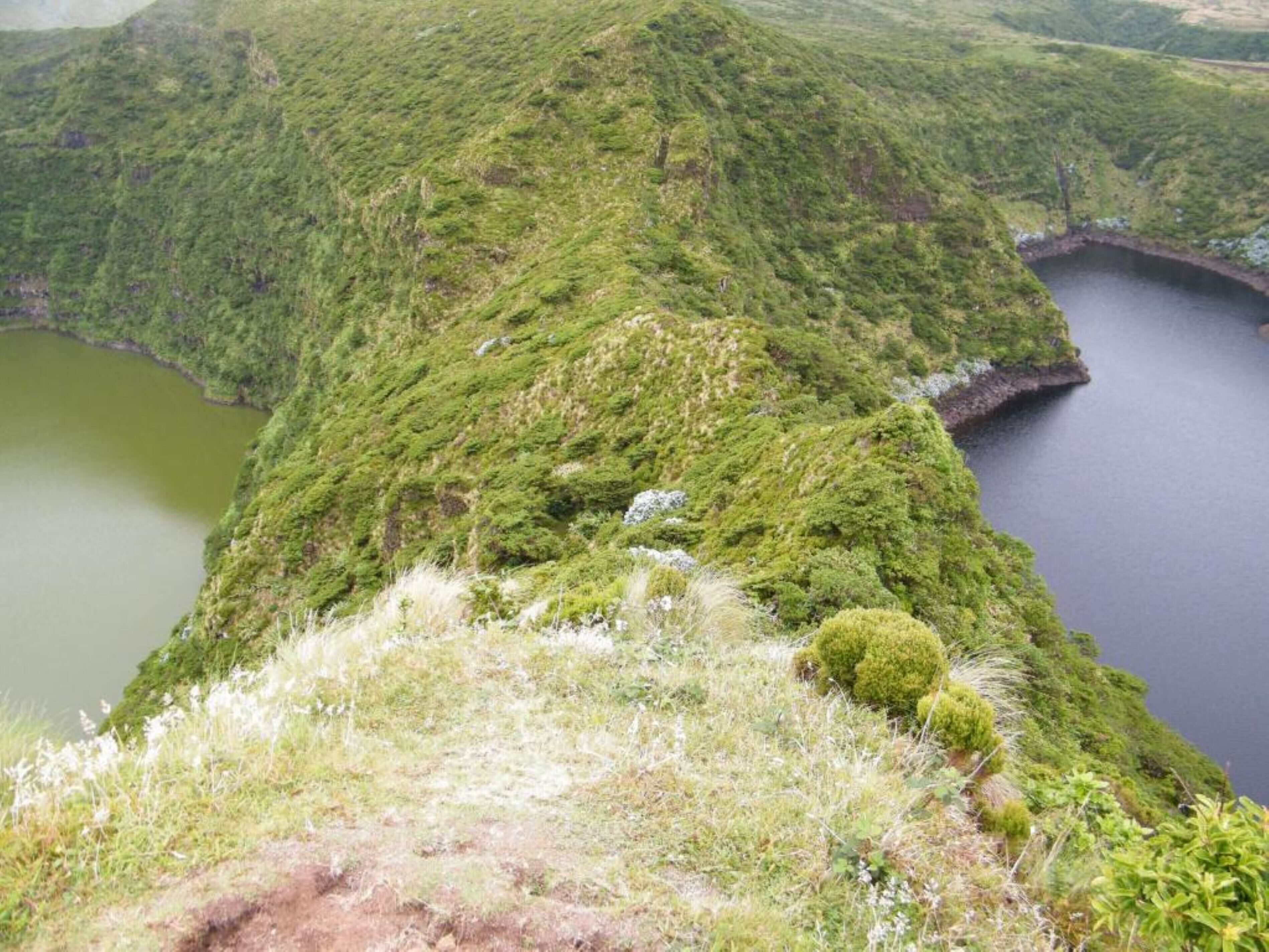A mountainous landscape with a lake and a bridge.