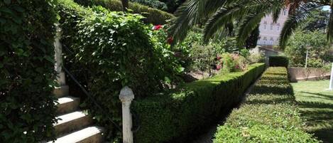 A stone staircase surrounded by lush greenery and a neatly trimmed hedge.
