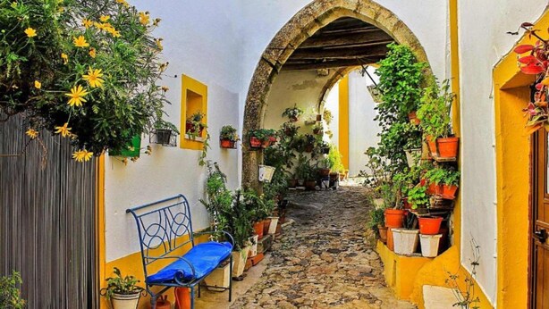 A narrow cobblestone alleyway with a bench and potted plants on either side. - INATEL Castelo de Vide (Castelo de Vide)