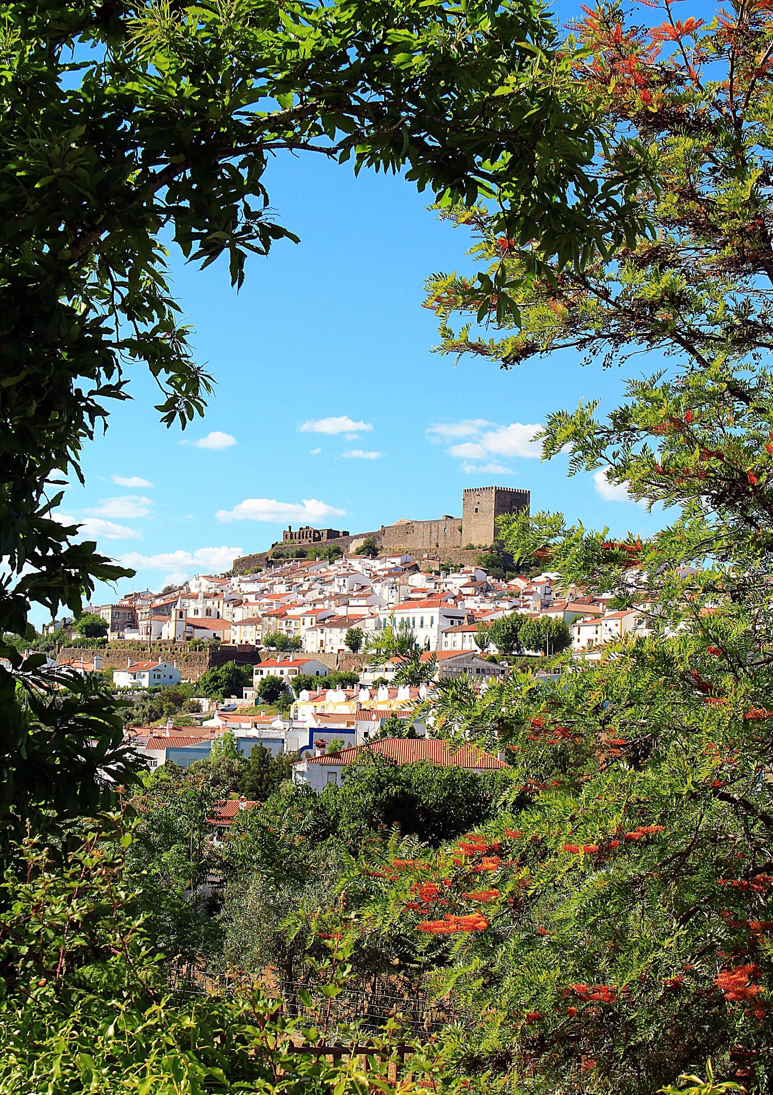 A town with a castle on a hill, surrounded by greenery and buildings.