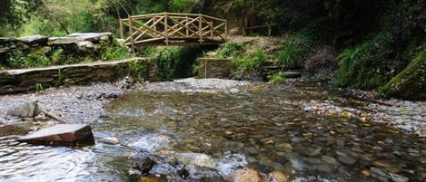 Un puente de madera sobre un arroyo rocoso en una zona boscosa.