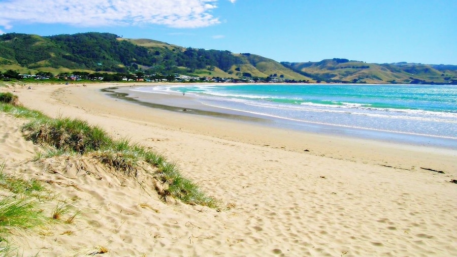 Rayville Boat Houses