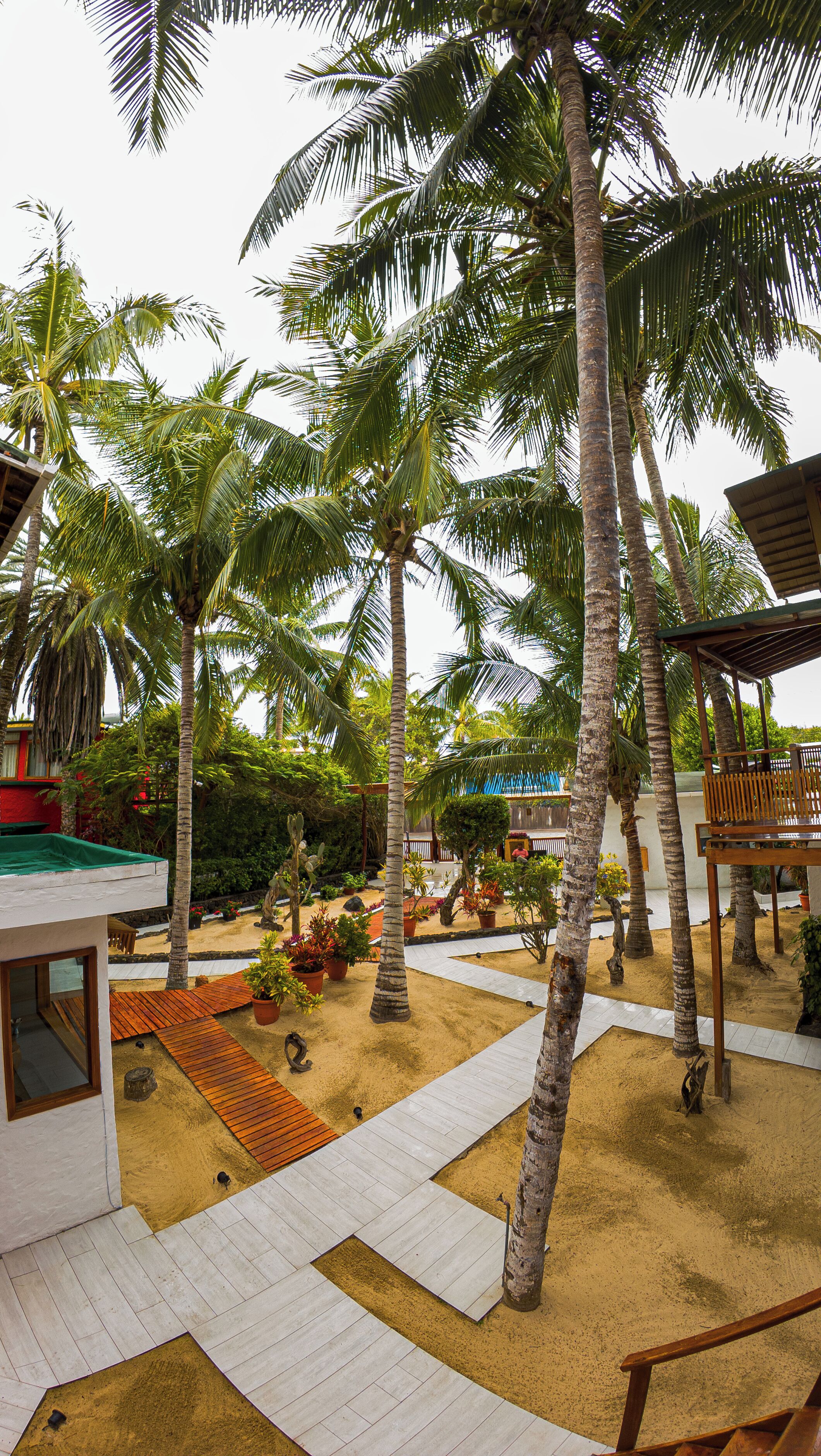 Un resort tropical con palmeras, un patio arenoso y una terraza de madera.