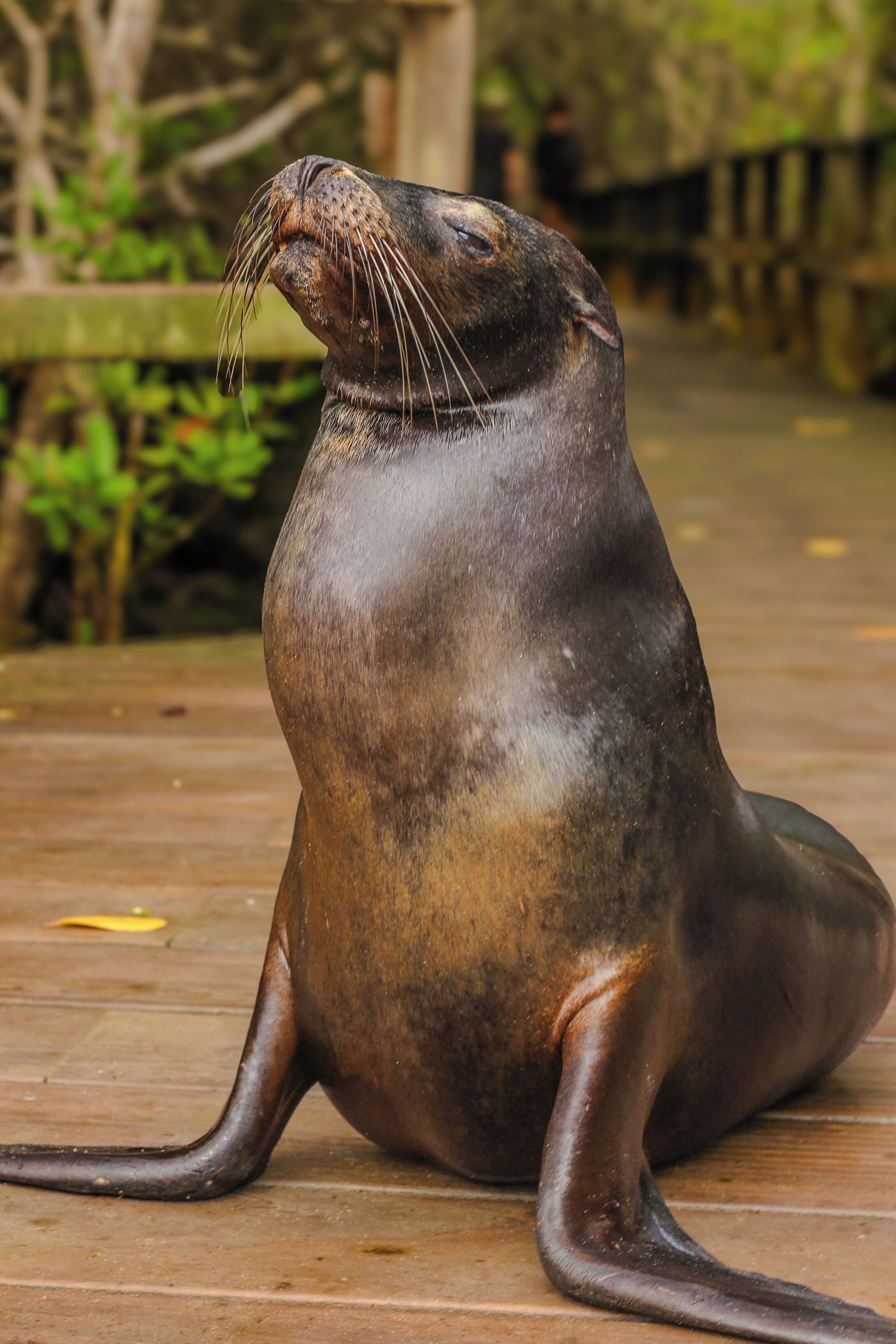 children’s activities