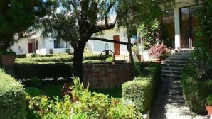 Un patio con un árbol, un pequeño estanque y una escalera que conduce a un edificio.