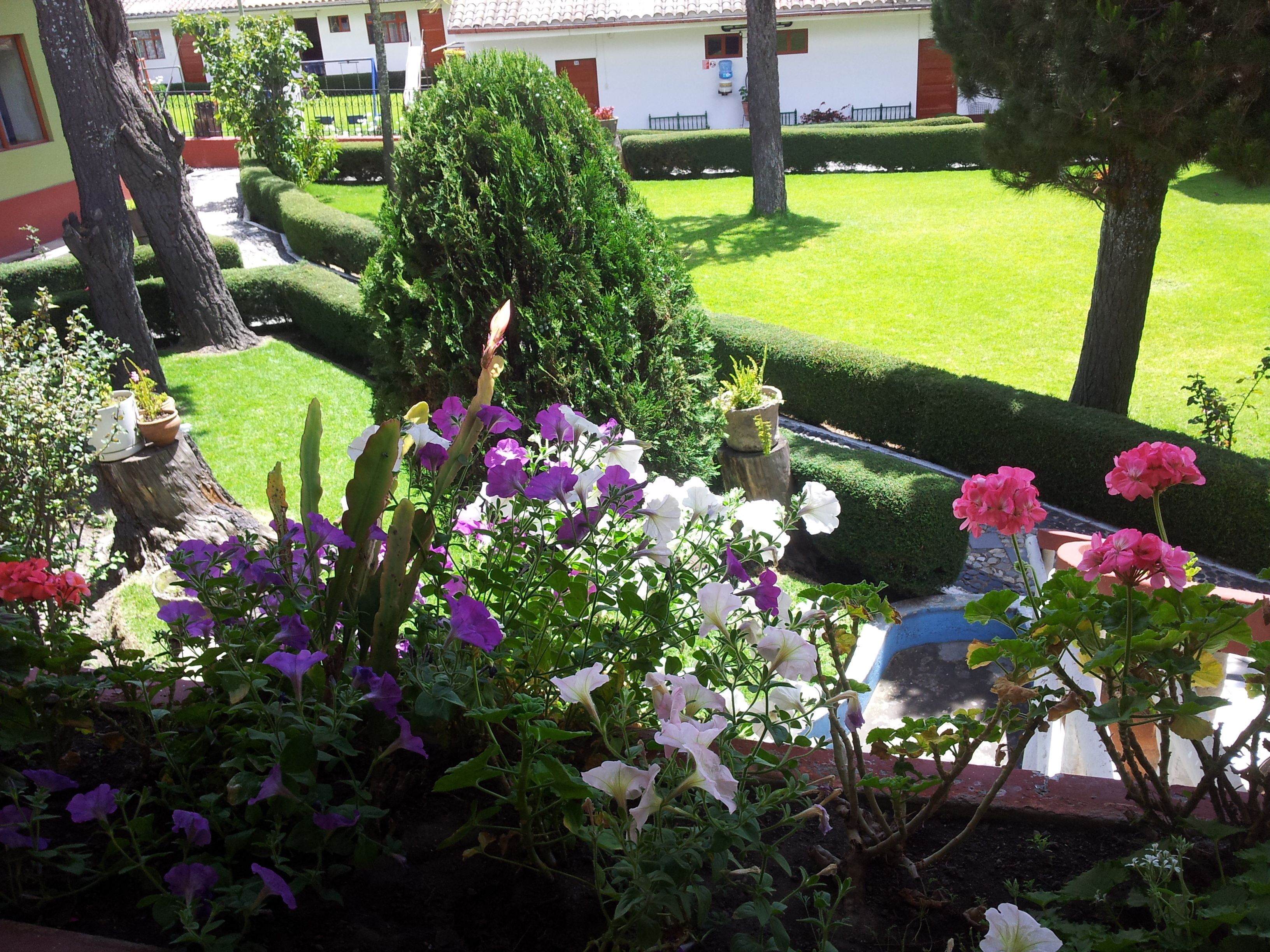 Un jardín bien cuidado con diversas plantas en flor y setos ordenados.