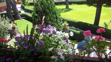 Un jardín bien cuidado con diversas plantas en flor y setos ordenados.